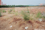 img0015