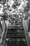 IMG_9815_s