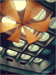 DSCF0089