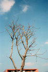 img0021
