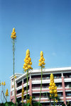 img0023