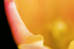 DSC_9457f
