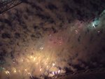 DSC00211
