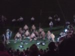 DSC00221