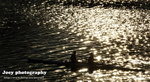 �����e05