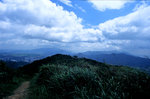 IMG005