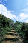IMG007