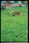 Image09