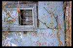 Image10