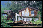 Image11