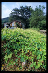 Image31