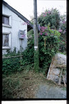 Image33