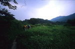 IMG062