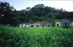 IMG063