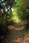 DPP_004