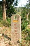 DPP_006
