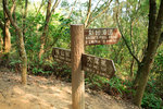 DPP_011