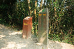 DPP_015