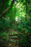 DPP_021