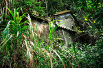 DPP_032