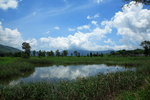 IMG_7787
