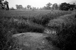 IMG_5973