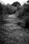 IMG_5976