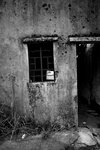 IMG_5979