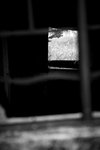 IMG_5980