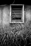 IMG_5983