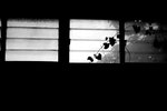 IMG_5984