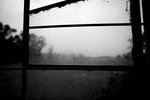 IMG_5985