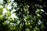 IMG_1760