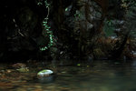 DPP_0004