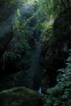 DPP_0005