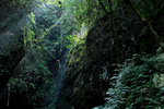 DPP_0006