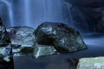 DPP_0008