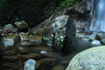DPP_0009