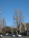 IMG_1926