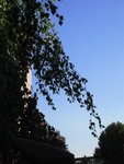 IMG_2173
