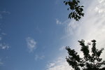 IMG_0841