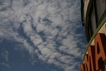 IMG_0855