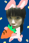 rabbit