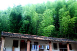 countryside