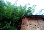 countryside