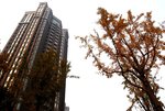 DSC_2868