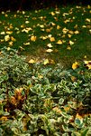 DSC_2873