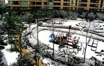 DSC_3661