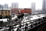 DSC_3667