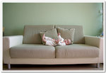 080315019